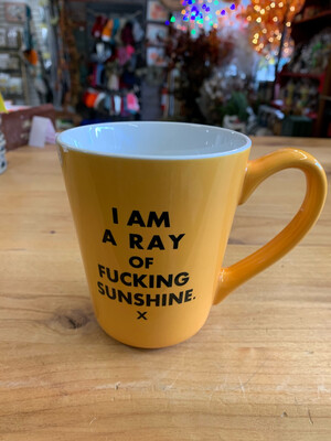 I'm a Ray of F***** Sunshine Mug