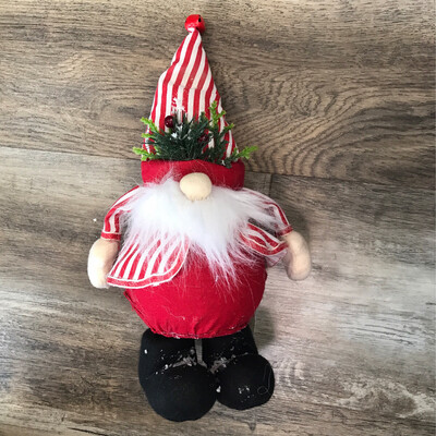 Santa Gnome Santa Gnome