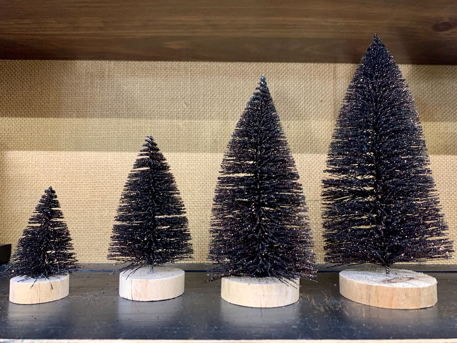 Brown Bottle Brush Trees Brown Bottle Brush Trees