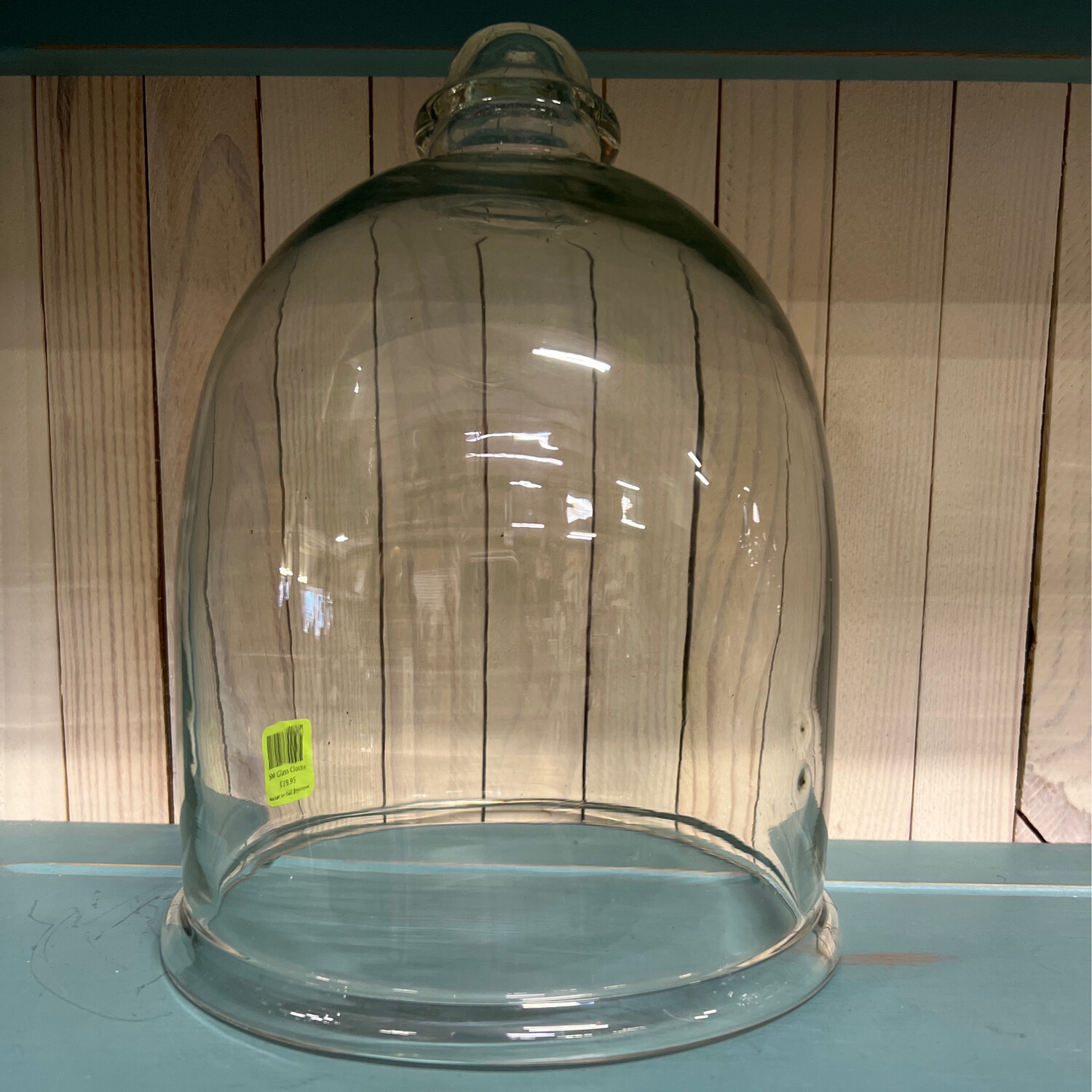 SM Glass Cloche