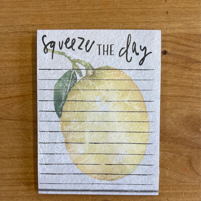 Squeeze the Day Mini Notepad