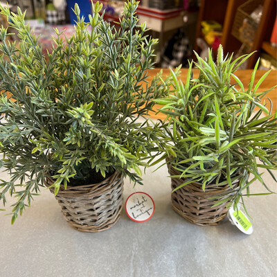 Potted Grass in Baskets