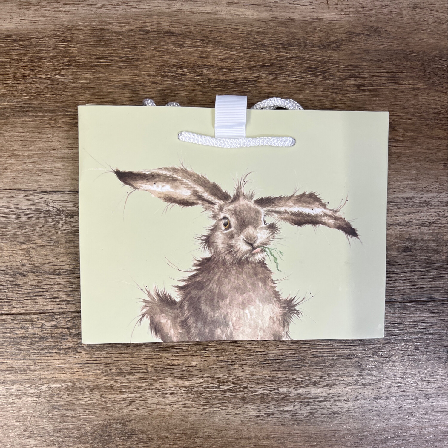 Bunny Gift Bag