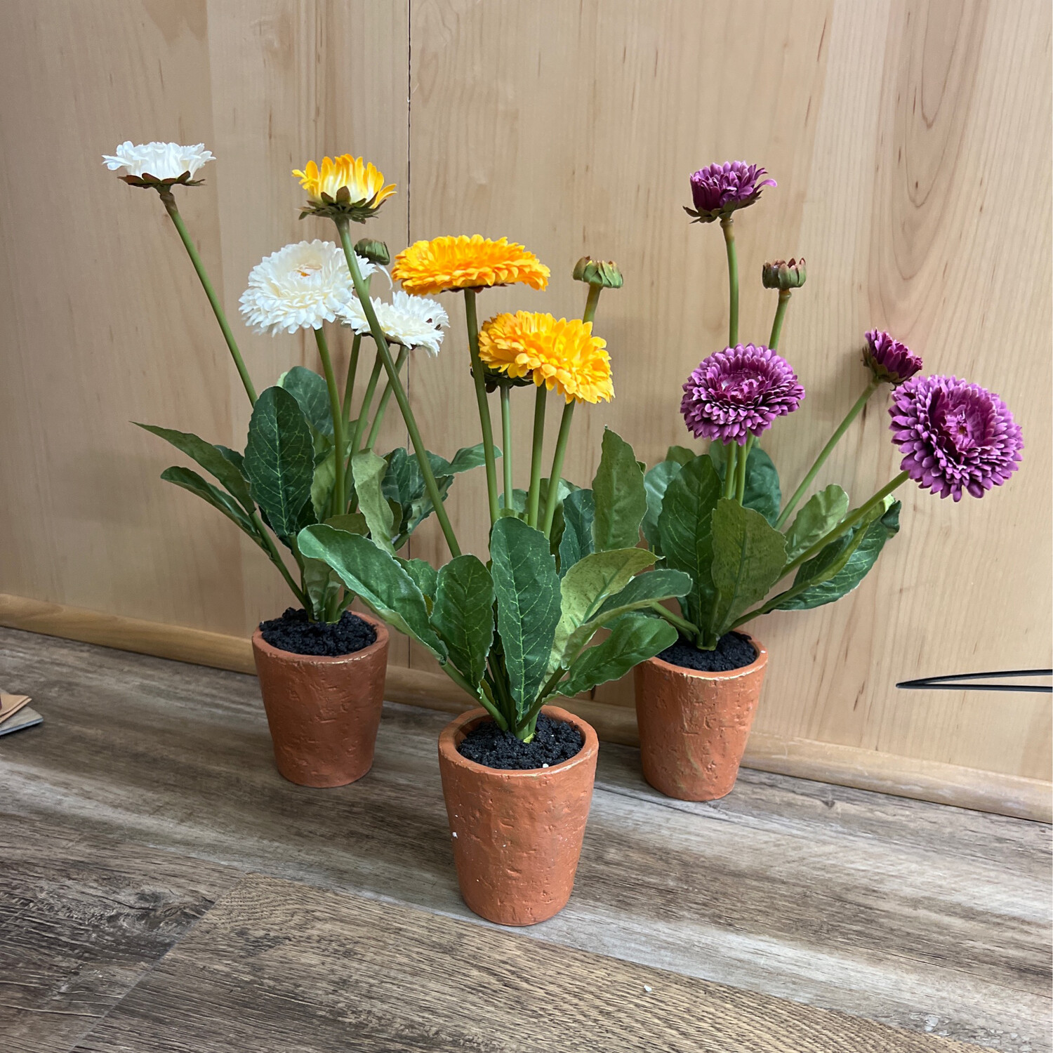 13.5&quot; Potted Mums