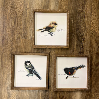 10" Framed Bird Prints