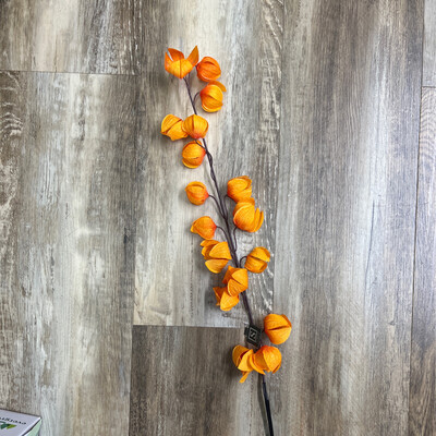 43" Chinese Lantern Stem 43" Chinese Lantern Stem