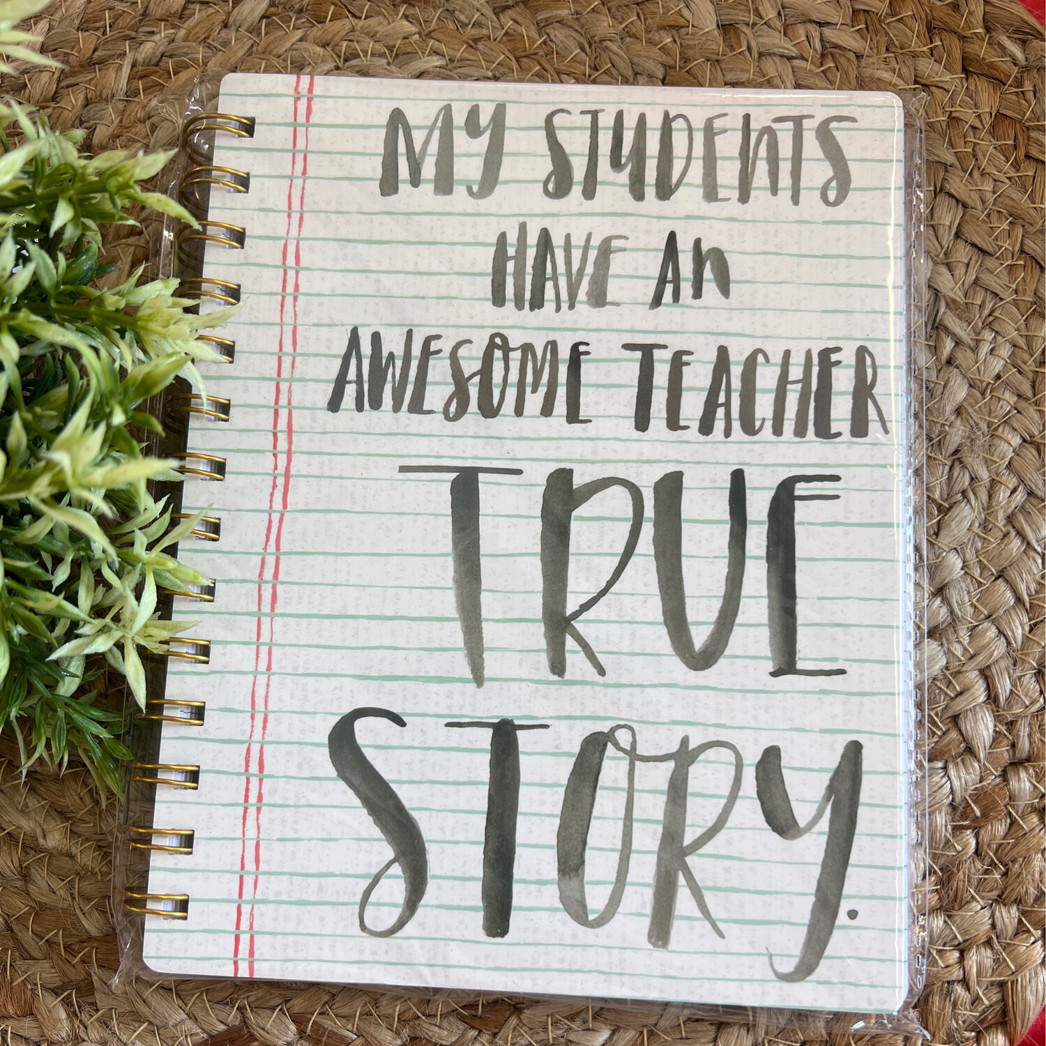 True Story Teach Notebook
