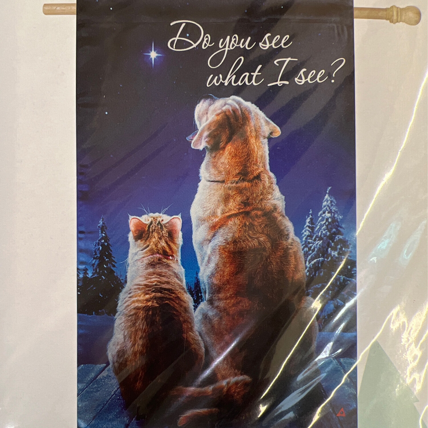 Do You See What I See LARGE FLag