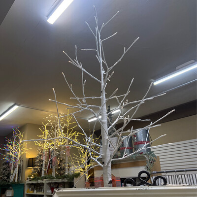 4' Indoor/Outdoor Birch Tree