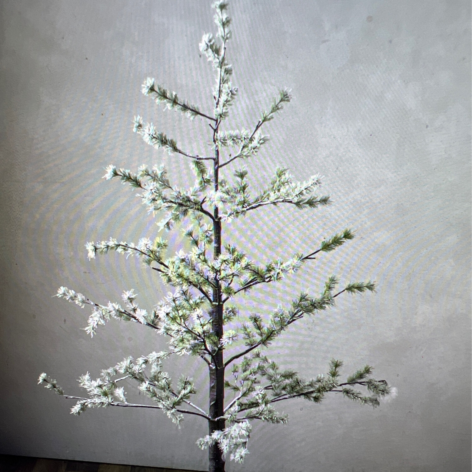 5&#39; Lighted Snowy Pine Tree