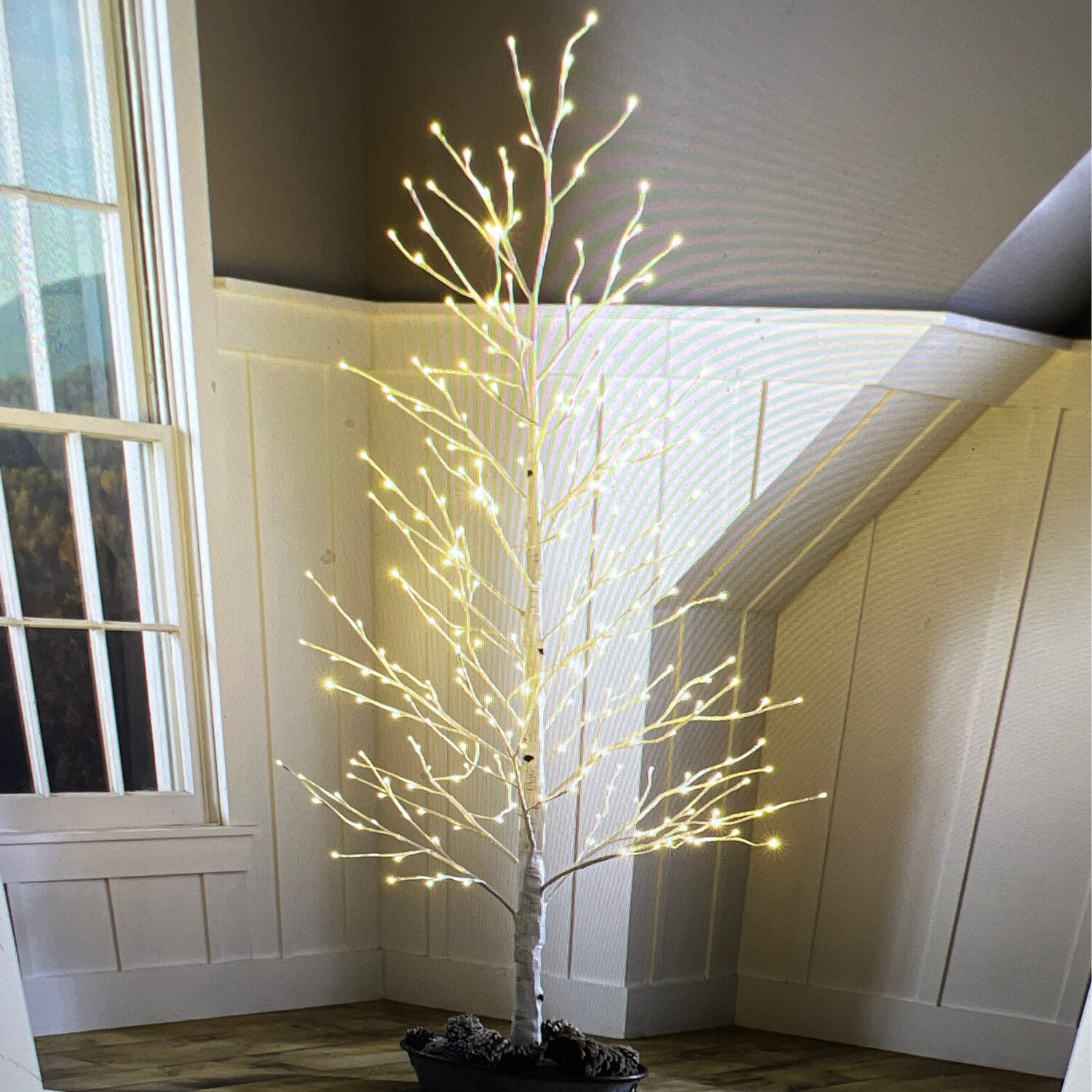 6' Indoor/Outdoor LED Birch Tree