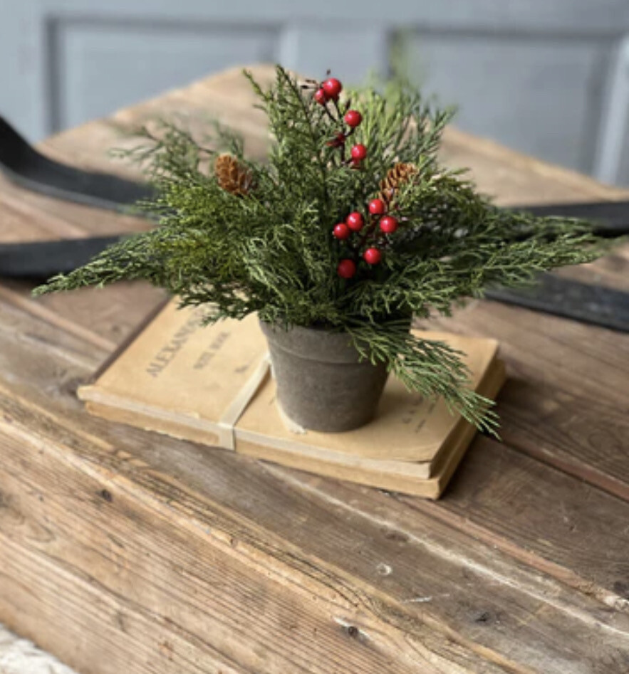 9&quot; Alpine Berry Tree