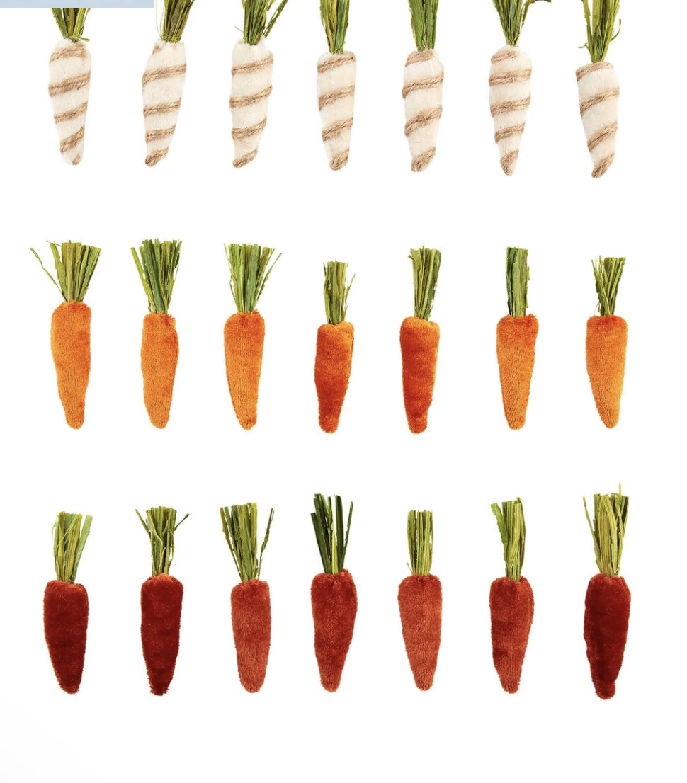 Mini Velvet Carrot Set