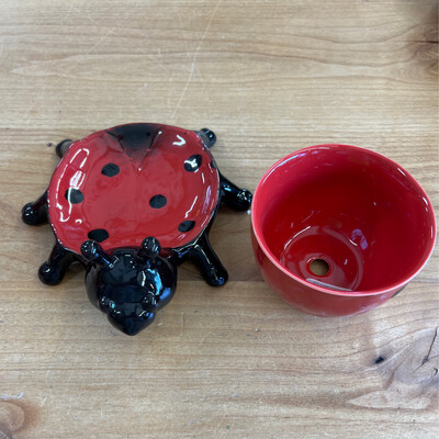 Ladybug Planter Set