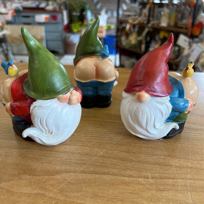 Full Moon Gnomes