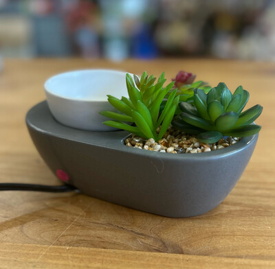 Succulent Candle Warmer
