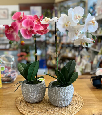 18" RealTouch Potted Orchids