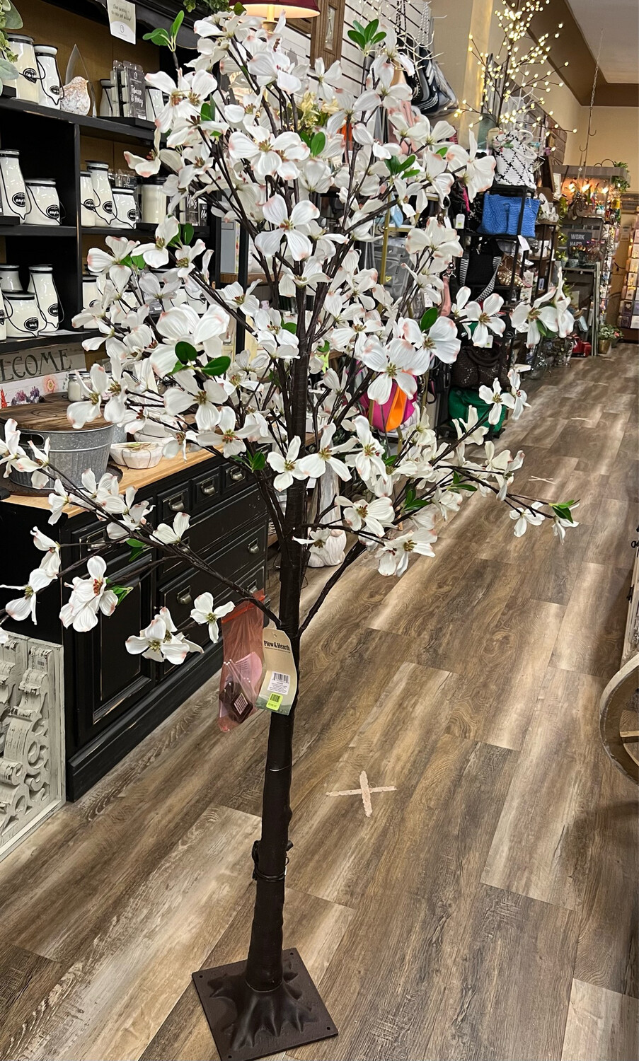 Indoor/Outdoor Dogwood Trees