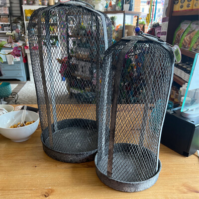 Tall Keeping Cloche