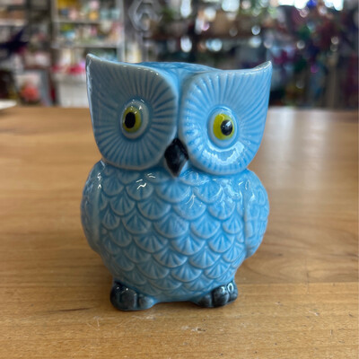 Blue Owl Bank