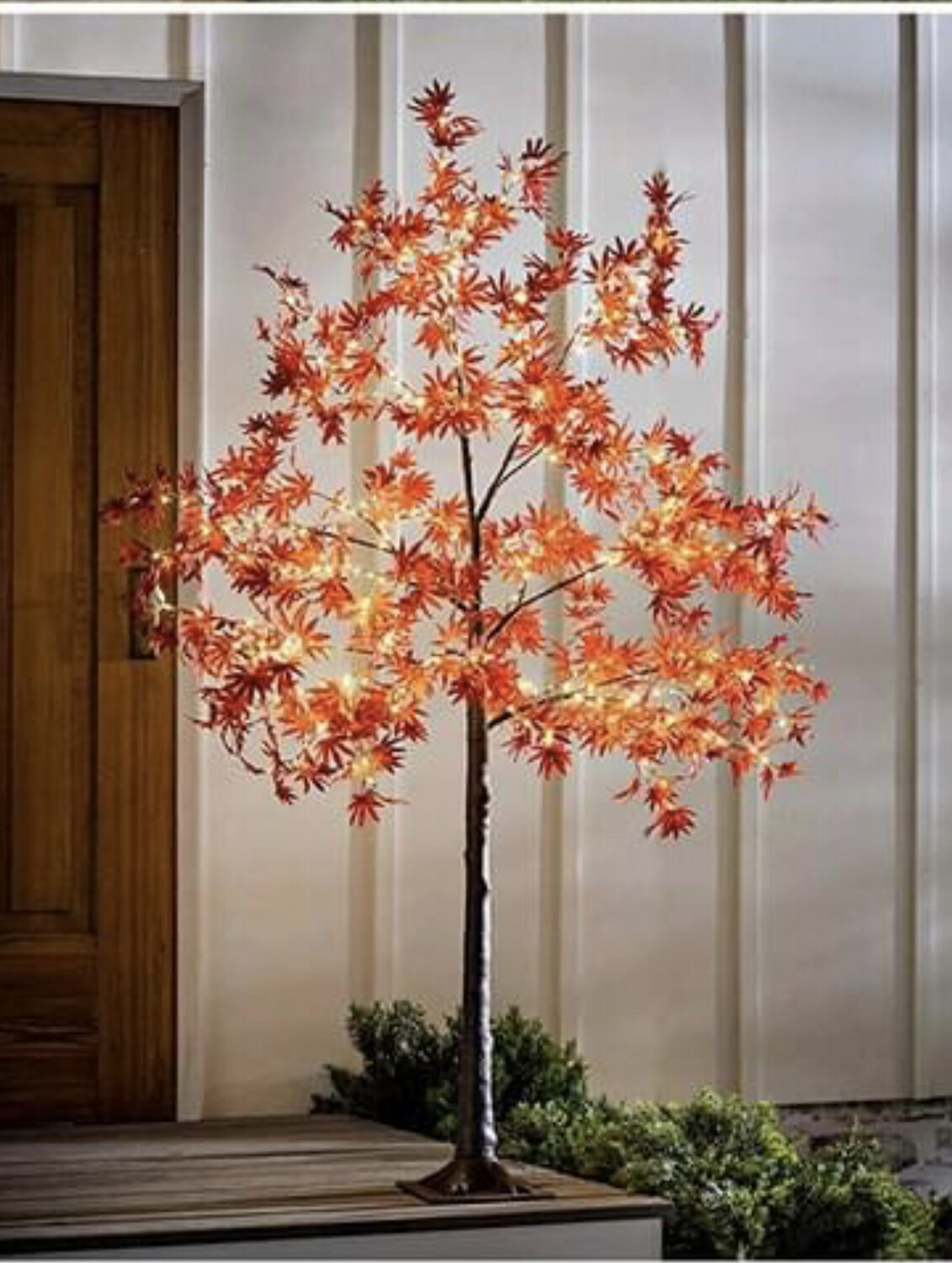 6' Lighted Indoor/Outdoor Maple Tree