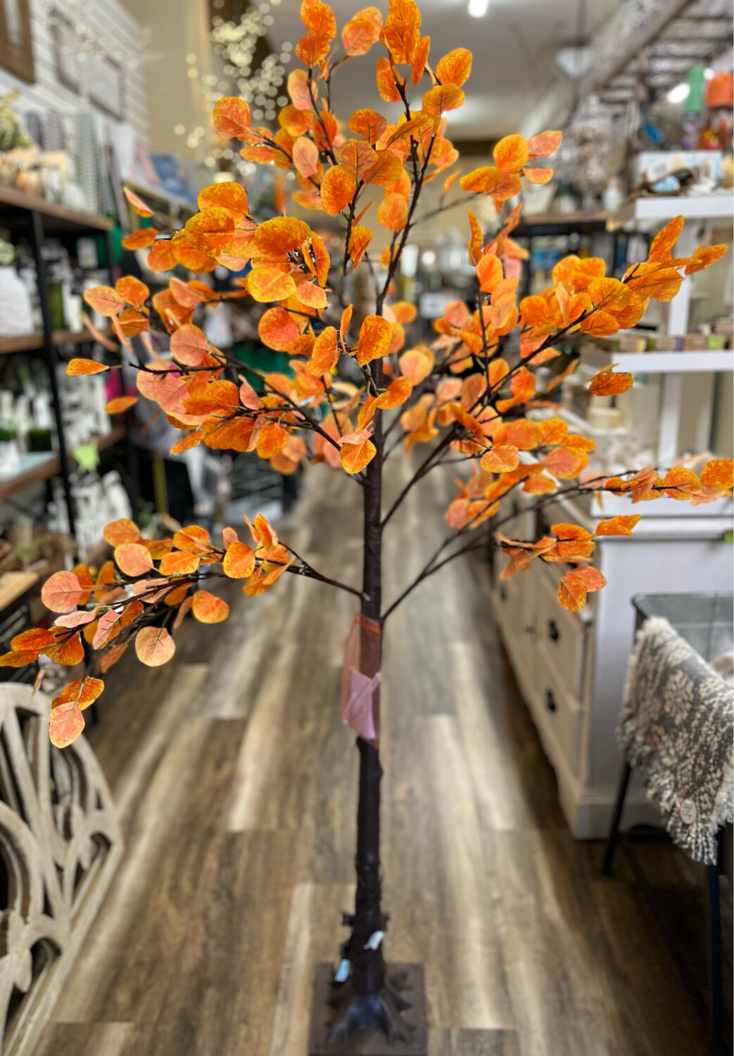 6' Fall Eucalyptus Tree 6' Fall Eucalyptus Tree