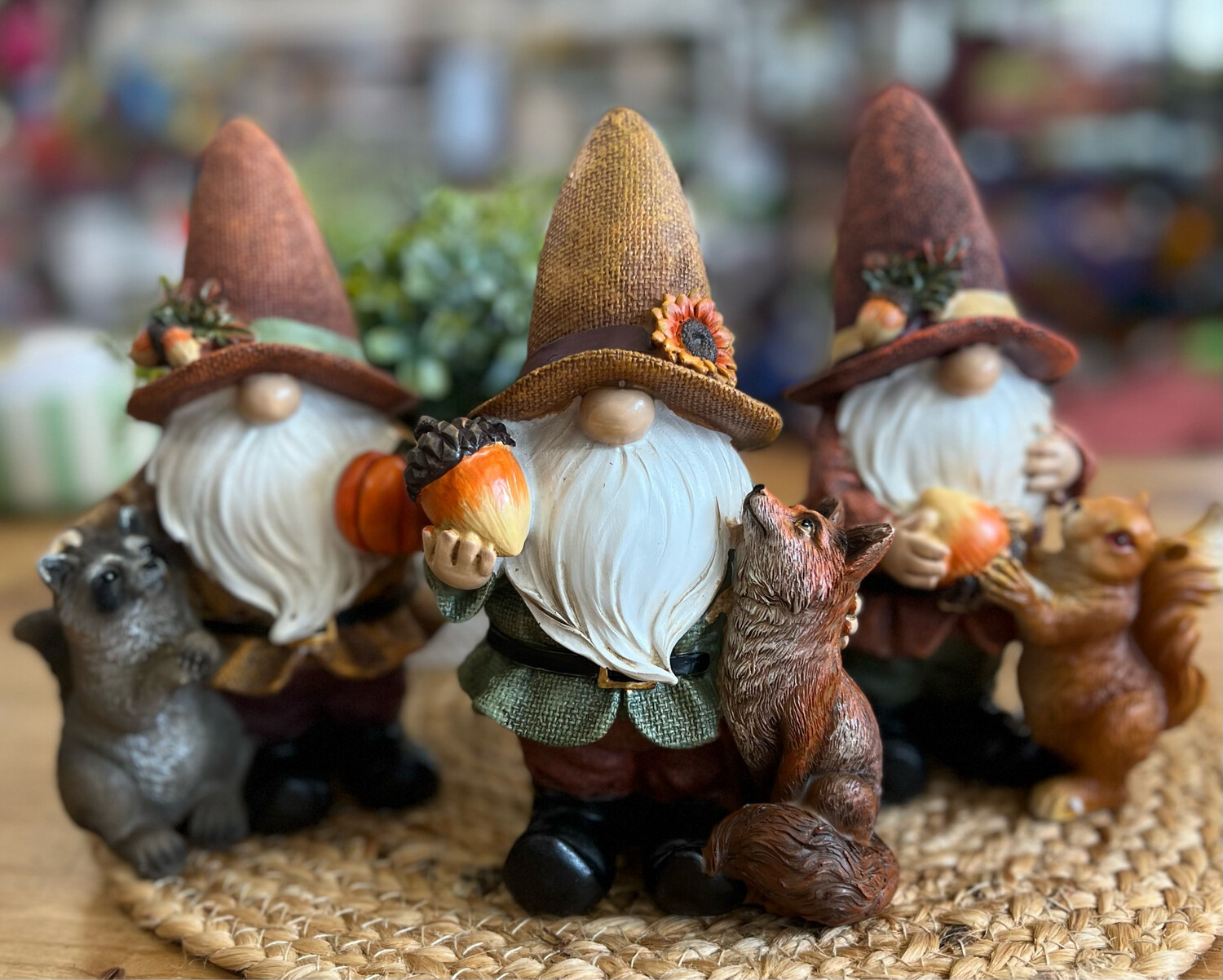 Fall Gnome &amp; Friends
