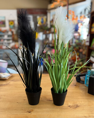 21" Potted Reed Grass