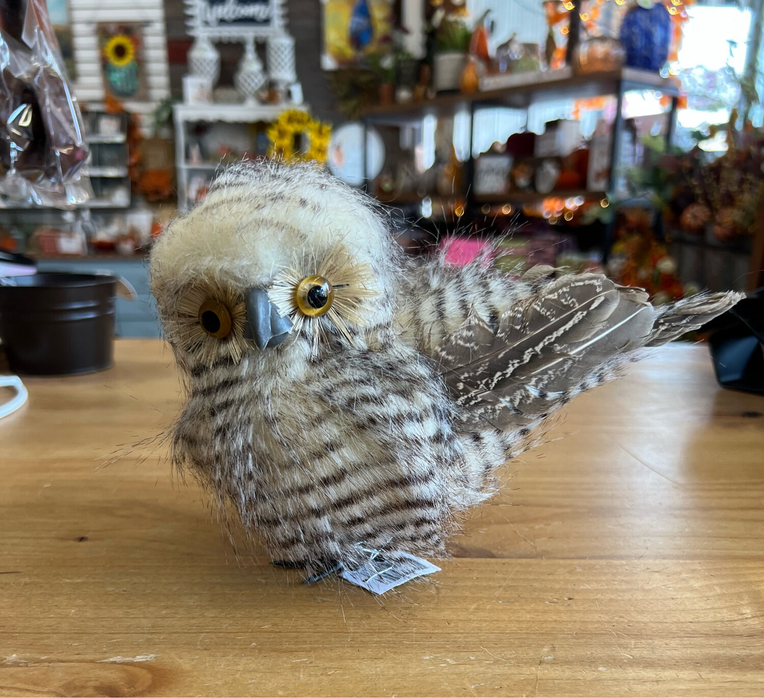 7" Feathered Owlet