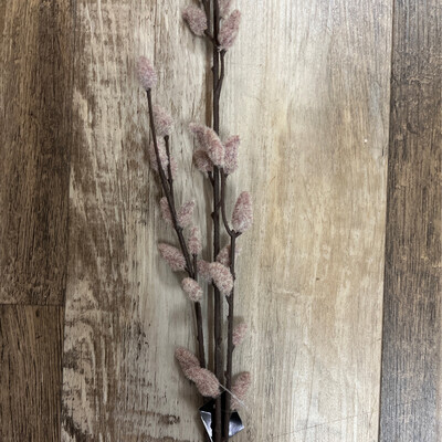 Brown Pussy Willow Stem