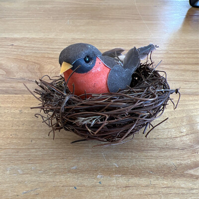 Bird in Nest 