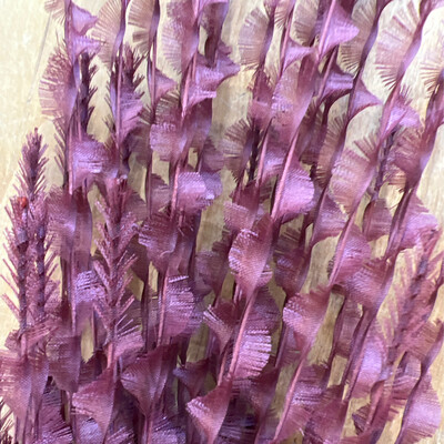39.5" Burgundy Eyelash Stem