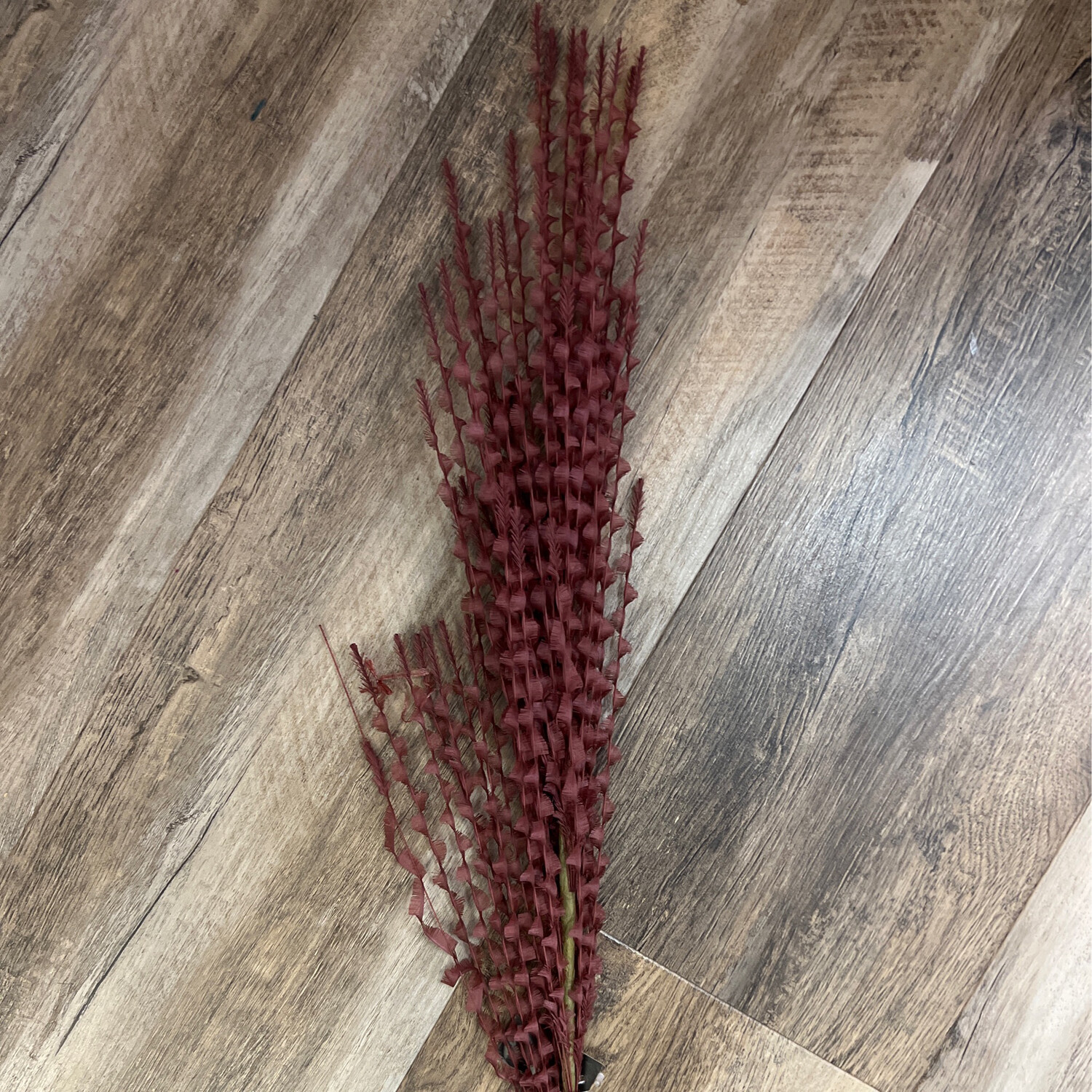 39.5" Burgundy Eyelash Stem