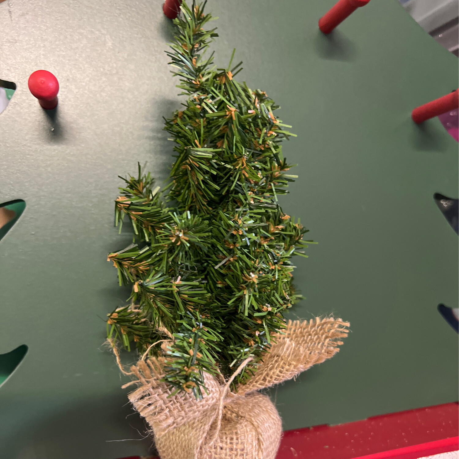 8&quot; Canadian Fir in Burlap