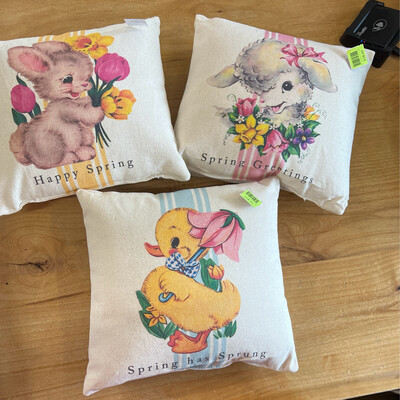 10" x 10" Spring Pillows