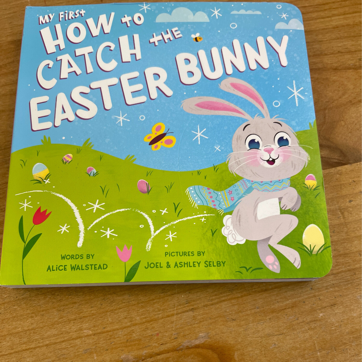 My 1st How to Catch the Easter Bunny