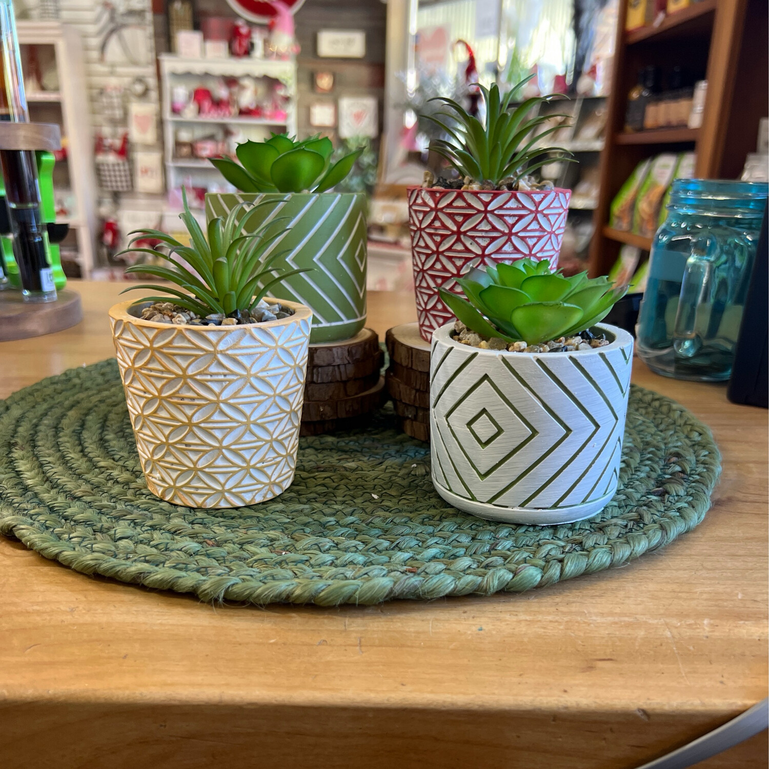 Clay Pot Succulents