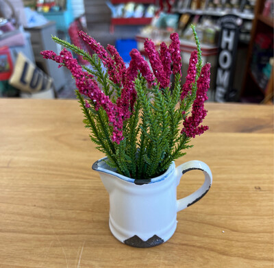 Flowers in Pitcher