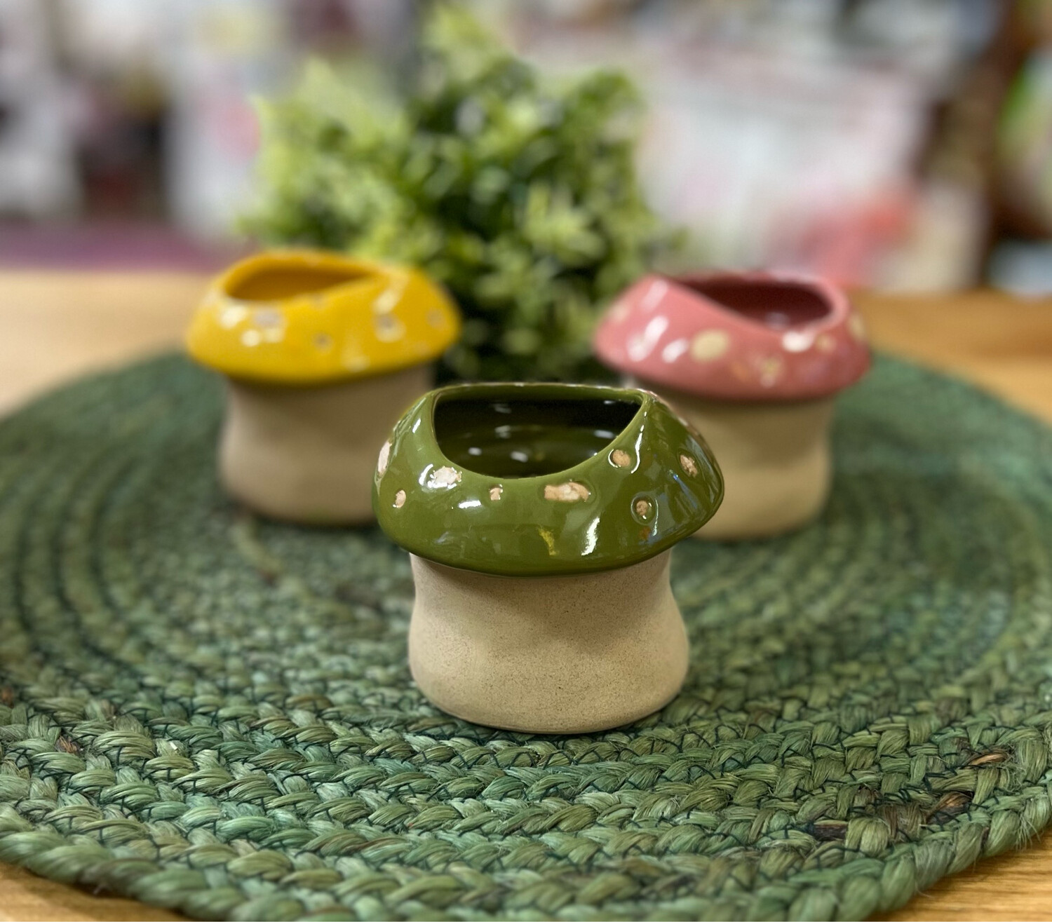 Ceramic Mushroom Planter