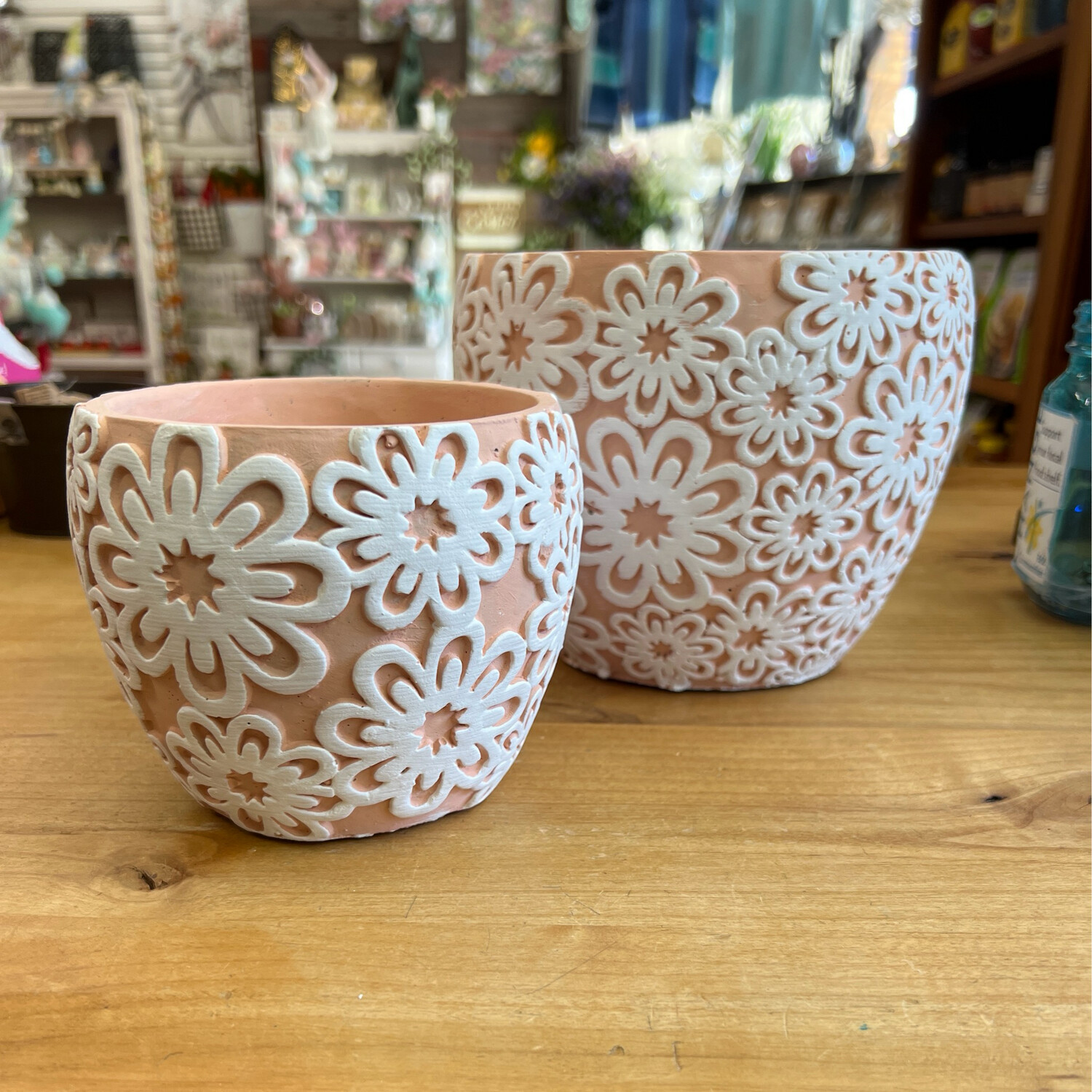 Daisy Terra Cotta Planters Daisy Terra Cotta Planters
