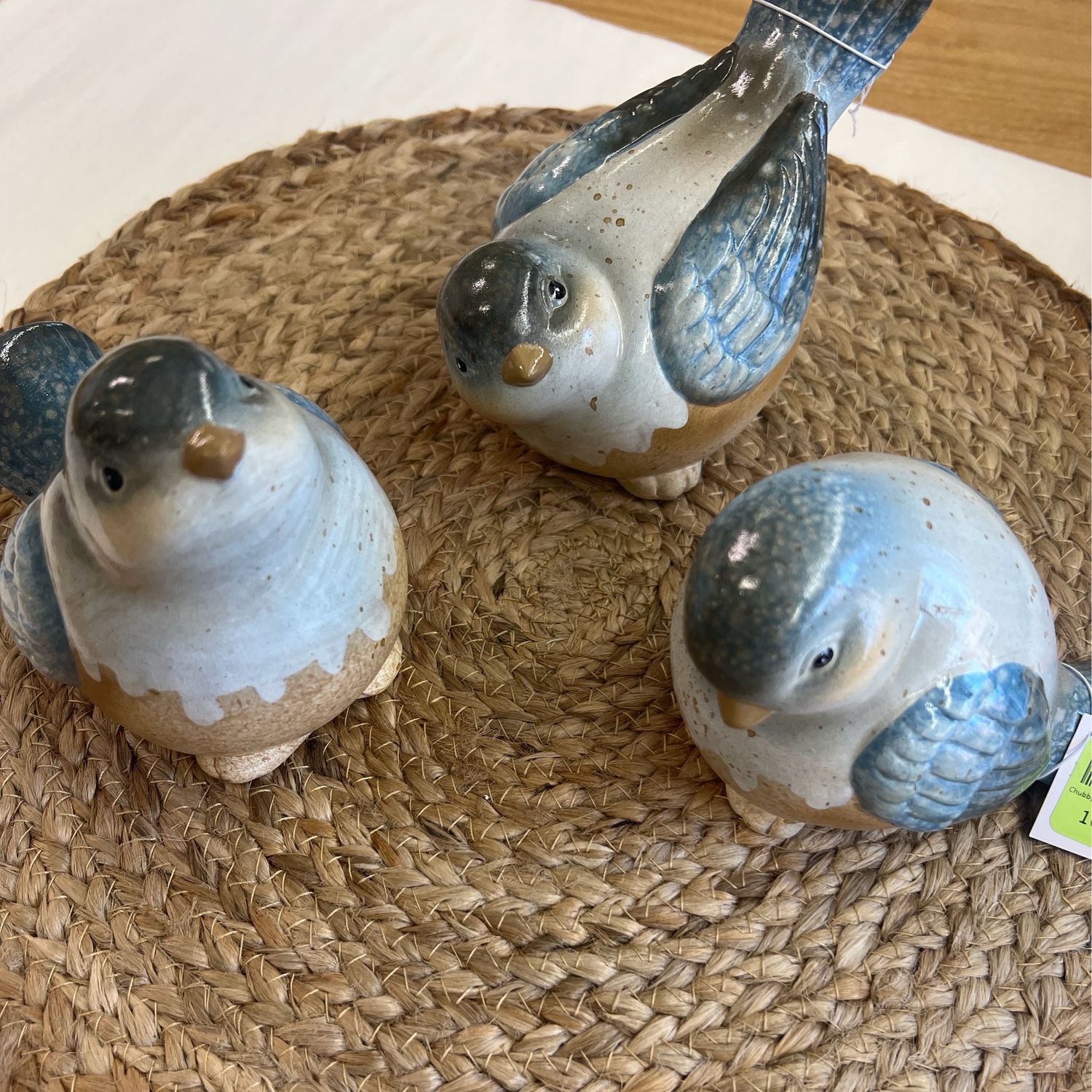 Chubby Blue Birds