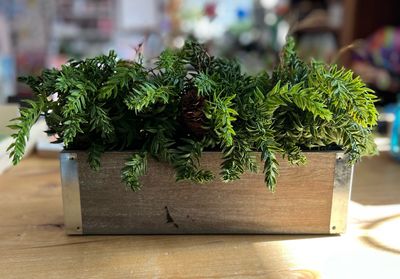 20" Pine Centerpiece 20" Pine Centerpiece