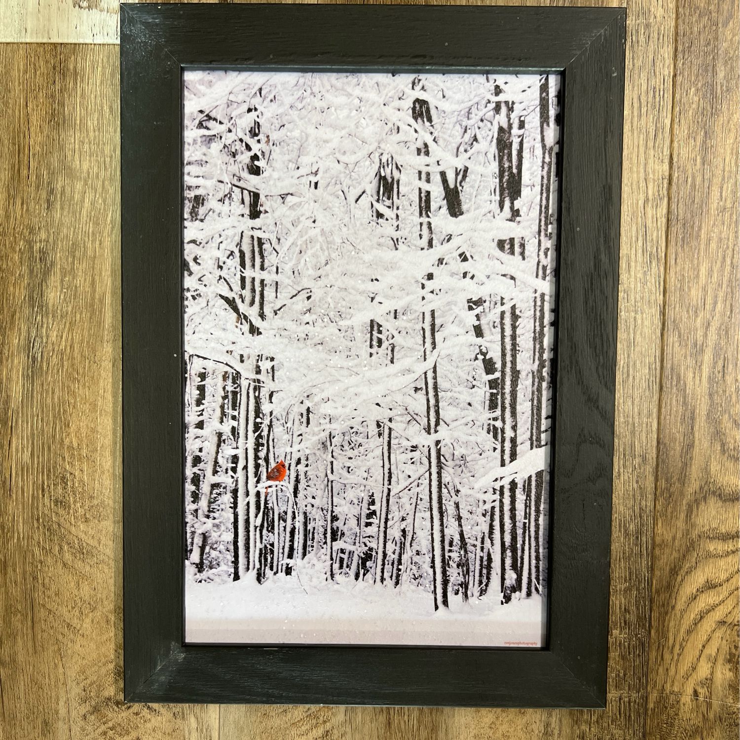 Winter Still Framed Print