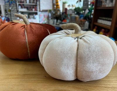 Autumn Velvet Pumpkins