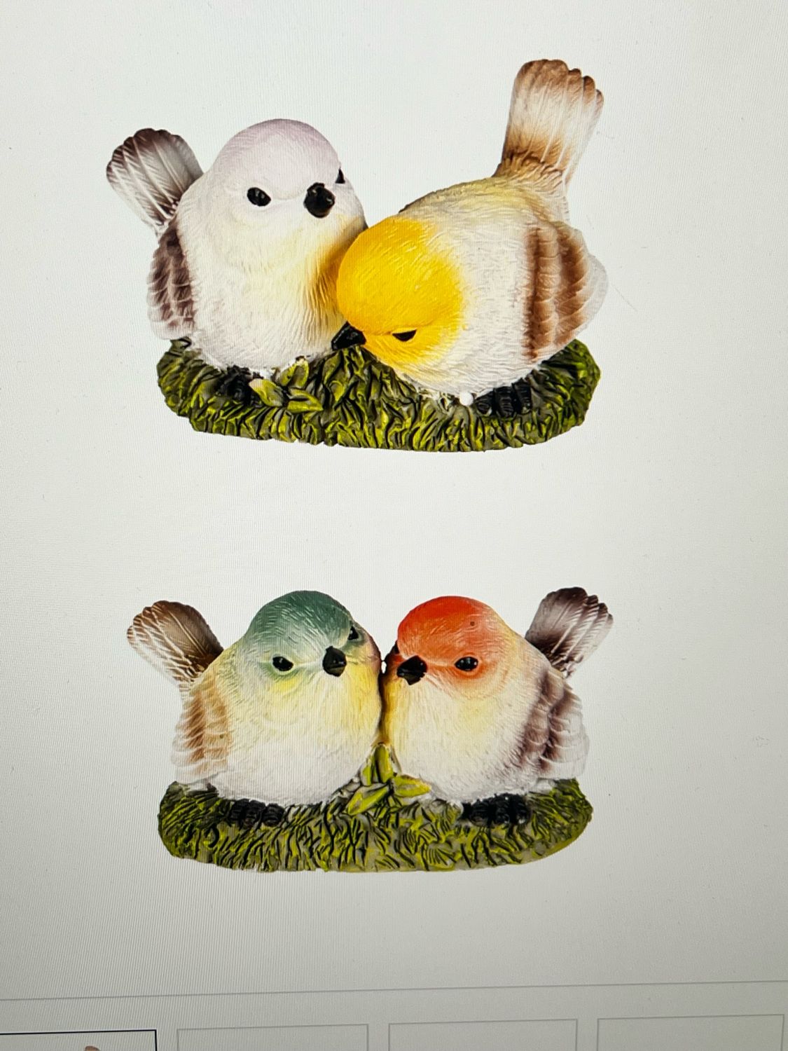 Pair of Birds in Nest