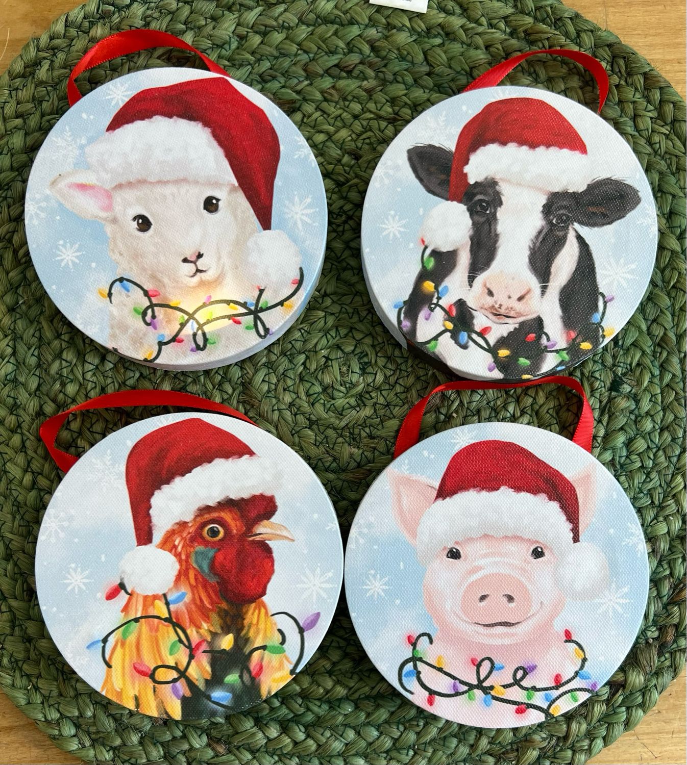 6&quot; Canvas LED Animal Ornament