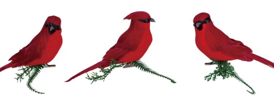 Clip On Feather Cardinals