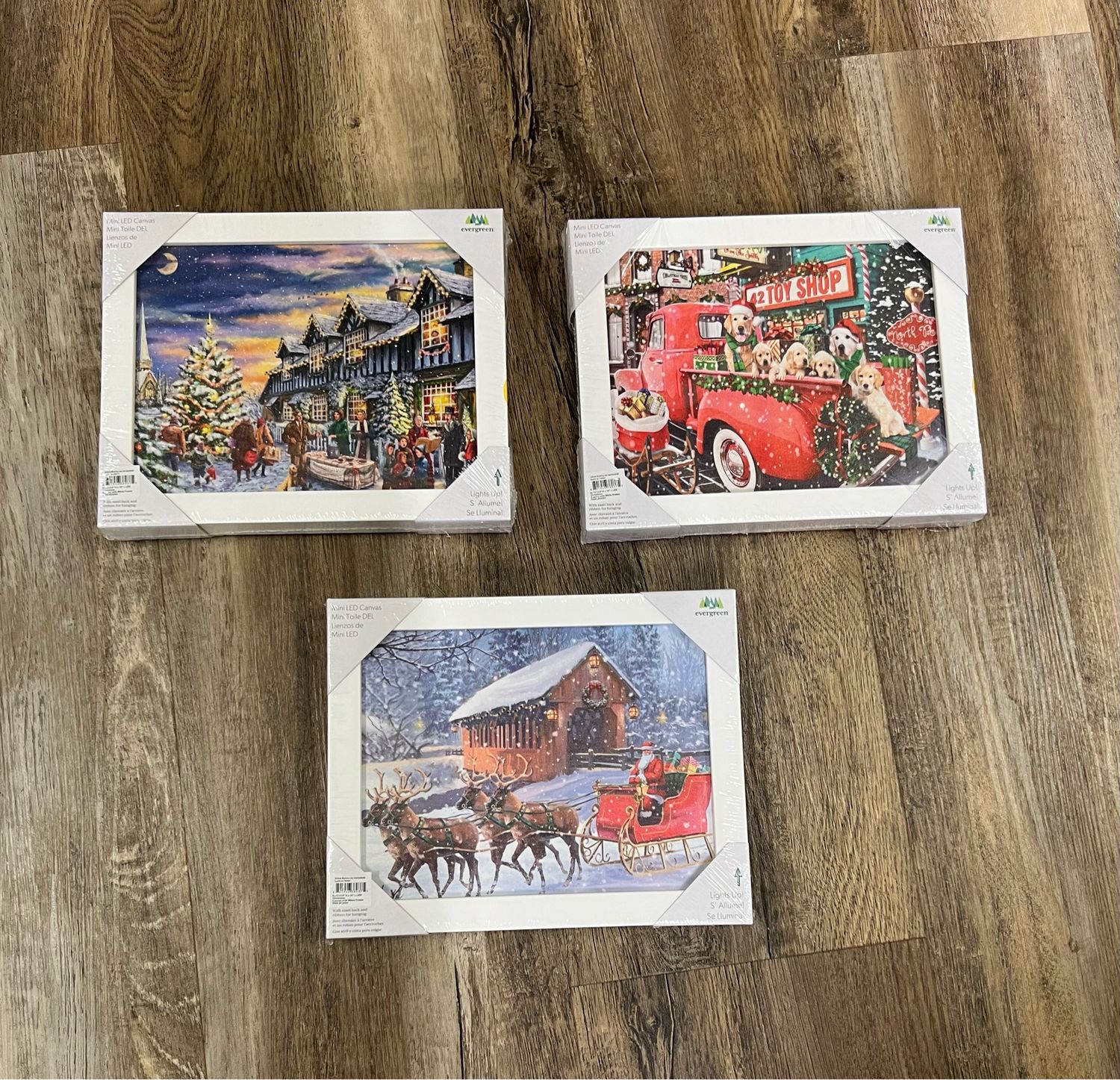 8" x 10" LED Holiday Frame 8" x 10" LED Holiday Frame