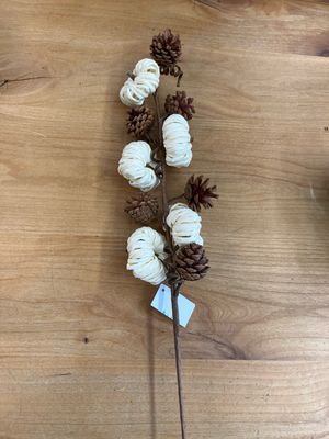 White Paper Pumpkin Stem White Paper Pumpkin Stem