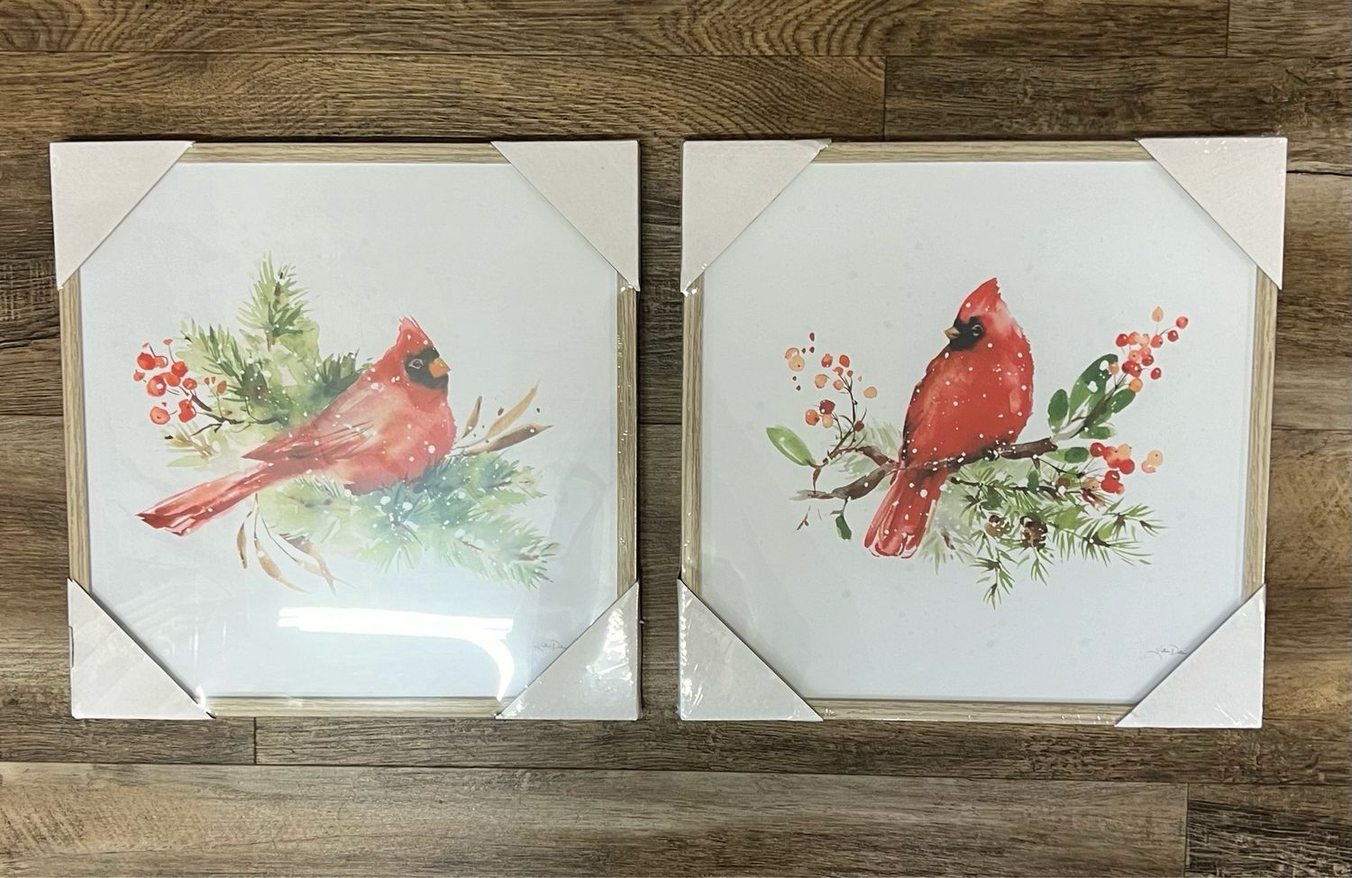 14&quot; Framed Cardinal Print